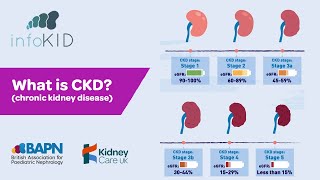 What is chronic kidney disease CKD  infoKID [upl. by Innavoig375]