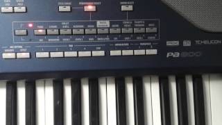 Ritme KORG Pa 800 [upl. by Hannala]