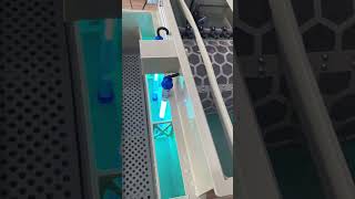 Custom micro filter UV2 cultivation rooms  roller filtrationkoi koifish [upl. by Ecinaj271]