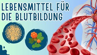 8 Lebensmittel die gut für die Blutbildung sind [upl. by Marka936]