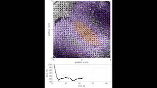 Feedback Control of Magnetohydrodynamic Flow Using DataDriven Methods Experiment 1 [upl. by Naitsirc]