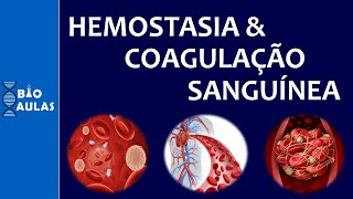 Hemostasia e Coagulação Sanguínea Atuação das Plaquetas e a Cascata de Coagulação [upl. by Cary]