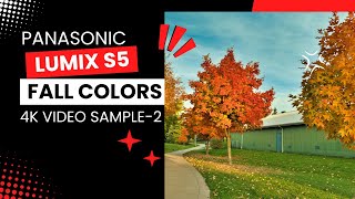 Panasonic Lumix S5 4K Fall Colors Sample 2 [upl. by Heger]