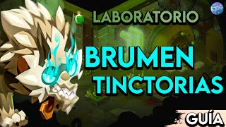 GUÍA  COMO ENTRAR AL LABORATORIO DE BRUMEN TINCTORIAS Dofus 2 Cap 32 [upl. by Edialeda983]