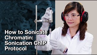 How to sonicate chromatin Sonication ChIP Protocol  CST Tech Tips [upl. by Ecirtnahs577]