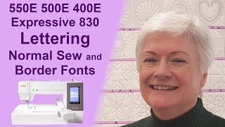 Janome 550E 500E and 400E  Elna Expressive 830  Hidden Gems [upl. by Leeth]