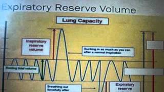 Lung Capacity Spirogram [upl. by Adnolor487]