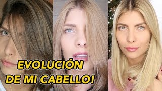 CÓMO FUE ACLARAR MI CABELLO DE FORMA NATURAL  POR QUÉ LO HICE EVOLUCIÓN DE MI CABELLO [upl. by Punak]