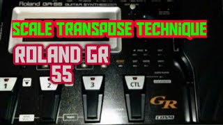 How to transpose scale in Roland GR 55 How to shift pitch in Roland GR 55 Easiest way to transpose [upl. by Bianka891]