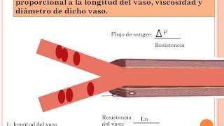 Leyes de flujo sanguineo iv5 [upl. by Pauli]