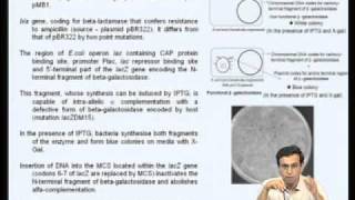 Mod08 Lec29 Cloning and Expression vectors [upl. by Cumine790]