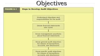 Steps to Develop Audit Objectives [upl. by Aslehc]