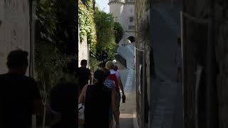 🌍 Discovering the Historic Charm of Château de Grignon [upl. by Anatol]