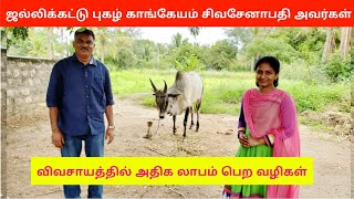 விவசாயம் காப்போம்  Kangeyam Siva Senapathy  Interview  Kangeyam Cattle Foundation  Pudhumai sei [upl. by Airbma]