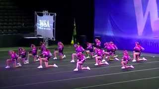 Showstars L2 Youth  WSA Southaven 2015 [upl. by Rocher577]