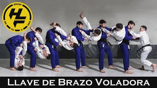 BJJ 🥋  Llave de Brazo VOLADORA 🐱‍🏍 Flying Armbar [upl. by Metsky74]