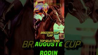 Breeders Cup Turf  Top Selections [upl. by Rosy]