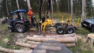 STIHL Buddies mit LOVOL M504 und Rückeanhänger Country 50s 550 Master [upl. by Navap]