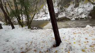 IS Creek High Flow at 1940 Dam Fall 2024 [upl. by Brinna]