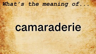 Camaraderie Meaning  Definition of Camaraderie [upl. by Perlis]