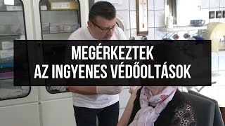 Debrecenbe is megérkeztek az ingyenes influenza elleni védőoltások [upl. by Akehsal]