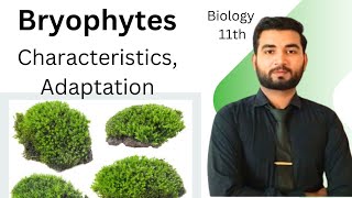 Bryophytes characteristics and Adaptations class 11  Biology [upl. by Rats417]