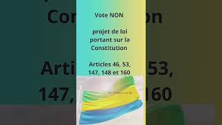 Vote NON au référendum [upl. by Ycnaf772]