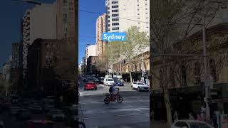 Goulburn Street with Scruffy Murphys on right hand side sydney sydneycbd [upl. by Picker]