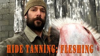 Hide Tanning  How to flesh a deer Hide for making leather rawhide or buckskin [upl. by Winter]