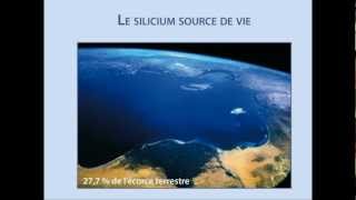 Interview du Docteur Gualtieri sur le silicium [upl. by Geaghan]