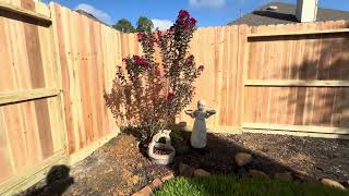 Cedar Wood Privacy Fence with Rot Board 20240919 [upl. by Akahc542]