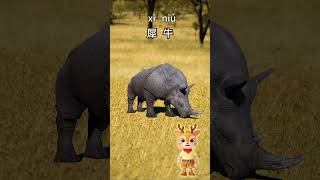 Learn Wild Animals in Chinese：Lets guess what this is｜儿童故事｜中文学习｜中文故事｜ [upl. by Chloe261]