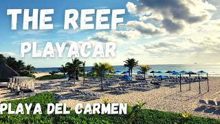 The AllInclusive Reef Playacar Hotel in Playa Del Carmen [upl. by Brasca]