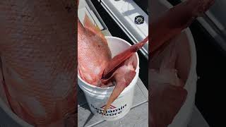 Bucket FULL Fishing Charter Trip in The Florida Keys [upl. by Darrej]