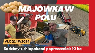 Spędzam majówkę z synami w polu Sadzimy poprzeczniak o powierzchni 10 ha [upl. by Fulvi]