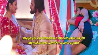 ആദ്യരാത്രിയിലെ ട്വിസ്റ്റ്  Web Series Explained In Malayalam [upl. by Annairam35]