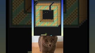 MAUW MAUW Chipi Chipi Chapa cutecat brickbreaker brickmania chipichipichapachapa shortvideo [upl. by Johnna383]