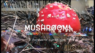 Mushroom A hardware challenge synth jam [upl. by Rayshell717]