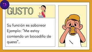 Video educativo quotConociendo los 5 sentidosquot [upl. by Ime]