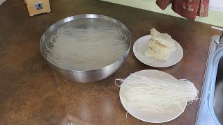 Two Foolproof Methods for Perfect Rice Vermicelli andor pho noodles with Thuy Hang [upl. by Shalna]