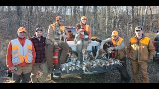 Swamp Rabbit Hunting with beagles 01072024 21 Rabbits [upl. by Nnaynaffit288]