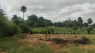 Vijayawada Highway chityala 1 acor land sale 9490315226 [upl. by Atteugram]