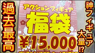 【2024年】秋葉原で購入した15000円の可動フィギュア福袋開封したら中身がヤバすぎた [upl. by Nyrok]