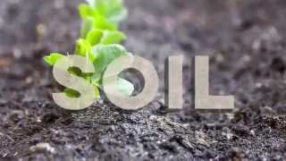 World Soil Day Promo [upl. by Griggs]