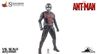 Hot Toys 16th scale AntMan Video Review [upl. by Karrie]