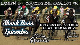 Laberinto  Corridos De Caballos Mix Colaboracion Epicenter [upl. by Dean4]