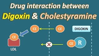 Drug interaction between Digoxin and Cholestyramine [upl. by Hayse237]