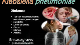 Video Clase Klebsiella [upl. by Yecrad]