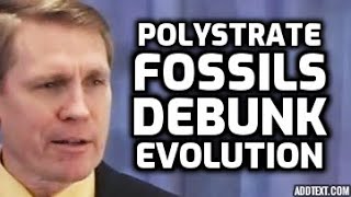 Kent Hovind  Polystrate Petrified Trees Debunk Evolution [upl. by Snapp]