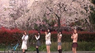 ℃ute 桜チラリで 『桜チラリ』 [upl. by Townie]